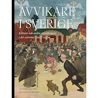 Bokförlaget Stolpe Avvikare i Sverige : kättare och andra normbrytare i det extrema landet lagom (bok, flexband)