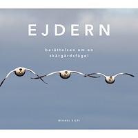 Mikael Kilpi Ejdern - berättelsen om en skärgårdsfågel (inbunden)
