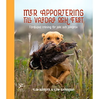 Elsa Blomster Mer apportering till vardag och fest (inbunden)