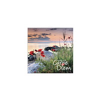 Burde Väggkalender Carpe Diem 2026