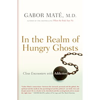 Gabor Md Mate In the Realm of Hungry Ghosts (inbunden, eng)