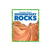 Jump! Incorporated Sedimentary Rocks (inbunden, eng)