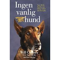 Bokförlaget NoNa Ingen vanlig hund (pocket)