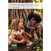 Irene Larsson Specialpedagogik 1, bok, Gy25 (häftad)