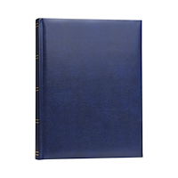 FOCUS Focus Prestige Super 300 10x15 Blue