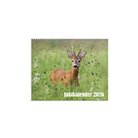 Burde Väggkalender Jaktkalender 2026