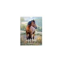 Burde Väggkalender Stora Hästkalendern 2026