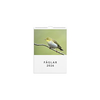 Burde Väggkalender 2026 Fåglar