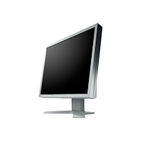 Eizo Nanao EIZO FlexScan S1934H - LED-skärm - 19"