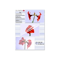 Olympia OLYMPIA - 100 stk - A6 - filmlaminat