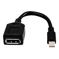 Hewlett-Packard HP DisplayPort-adapter