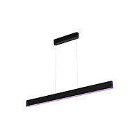 Philips Philips Hue White and Color Ambiance Ensis - hängande lampa - LED x 2 - 39.5 W - totalt: 79 W - 16 miljoner färger/varmt...