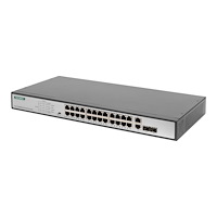 Digitus DIGITUS Professional DN-95343 - switch - 24 portar - rackmonterbar