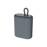 Canyon Canyon BSP-4 - högtalare - för bärbar användning - trådlös