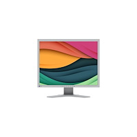 Eizo Nanao EIZO FlexScan S2134 - LED-skärm - 21.3"