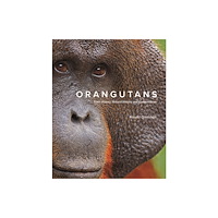 Firefly Books Ltd Orangutans (inbunden, eng)
