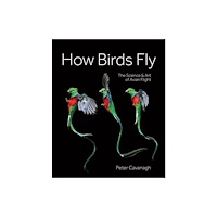Firefly Books Ltd How Birds Fly (inbunden, eng)