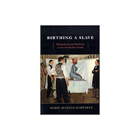 Harvard university press Birthing a Slave (häftad, eng)