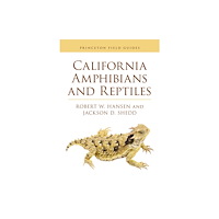 Princeton University Press California Amphibians and Reptiles (häftad, eng)