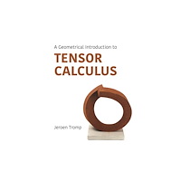 Princeton University Press A Geometrical Introduction to Tensor Calculus (häftad, eng)