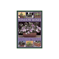 Anness publishing Window Boxes (inbunden, eng)