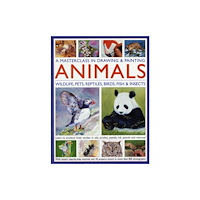 Anness publishing Masterclass in Drawing & Painting Animals (inbunden, eng)