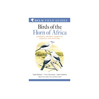 Bloomsbury Publishing PLC Field Guide to Birds of the Horn of Africa (häftad, eng)