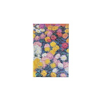 paperblanks Monet’s Chrysanthemums Midi Lined Hardback Journal (Elastic Band Closure) (inbunden, eng)