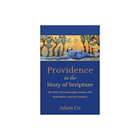 Baker publishing group Providence in the Story of Scripture (häftad, eng)