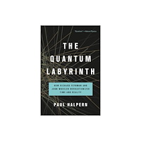 Basic Books The Quantum Labyrinth (häftad, eng)