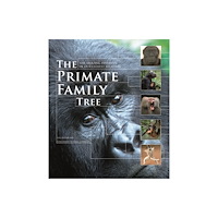 Firefly Books Ltd The Primate Family Tree (häftad, eng)