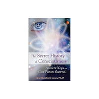 Red Wheel/Weiser Secret History of Consciousness (häftad, eng)