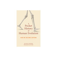 The Experiment LLC A Pocket History of Human Evolution (häftad, eng)