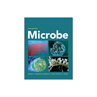 American Society for Microbiology Microbe (häftad, eng)