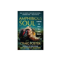 HarperCollins Publishers Amphibious Soul (häftad, eng)