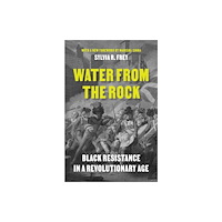 Princeton University Press Water from the Rock (häftad, eng)