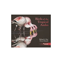 Princeton University Press Birds of the Tropical Andes (inbunden, eng)