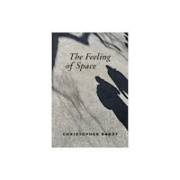 Mit press ltd The Feeling of Space (häftad, eng)