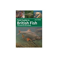 Bloomsbury Publishing PLC Field Guide to British Fish (häftad, eng)
