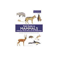 Bloomsbury Publishing PLC Field Guide to Mammals of Europe, North Africa and the Middle East (häftad, eng)