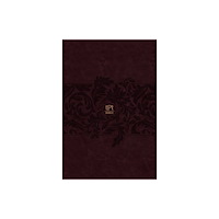 Broadstreet Publishing The Passion Translation New Testament (2020 Edition) Giant Print Plum (häftad, eng)