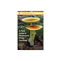 The University of North Carolina Press A Field Guide to Mushrooms of the Carolinas (häftad, eng)