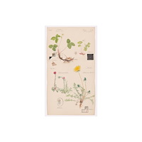 Museum of Modern Art Hilma af Klint (inbunden, eng)