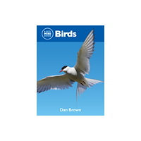 New Holland Publishers Reed Mini Guide: Birds (häftad, eng)