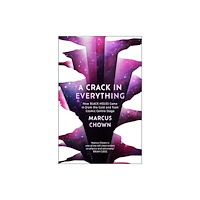Bloomsbury Publishing PLC A Crack in Everything (häftad, eng)