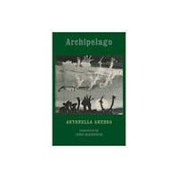 Bloodaxe Books Ltd Archipelago (häftad, eng)