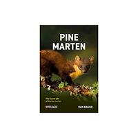 Pelagic Publishing Pine Marten (häftad, eng)