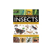 Anness publishing Natural History of Insects (häftad, eng)