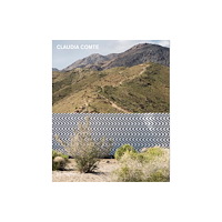 JRP Ringier Claudia Comte (häftad, eng)