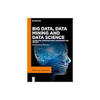 De Gruyter Big Data, Data Mining and Data Science (inbunden, eng)